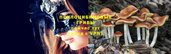 крисы Волоколамск