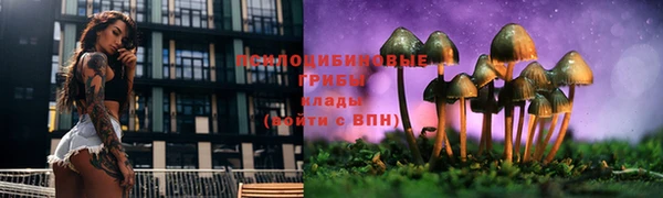 молекула духа Волосово