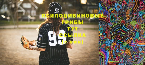 крисы Волоколамск