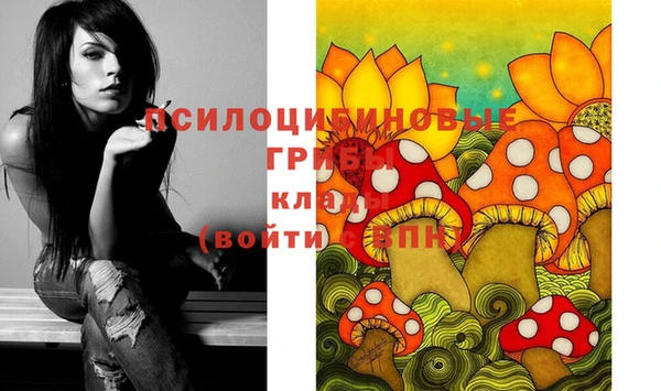 молекула духа Волосово