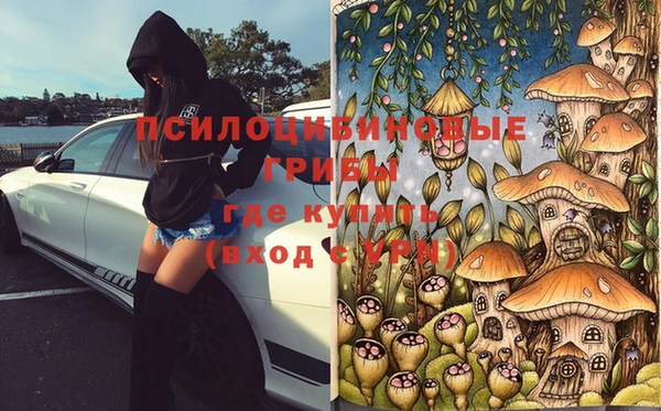крисы Волоколамск