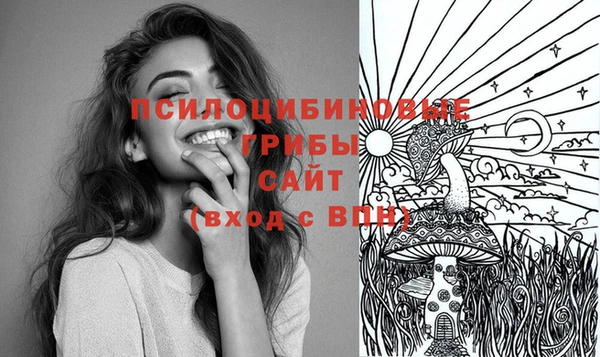 крисы Волоколамск